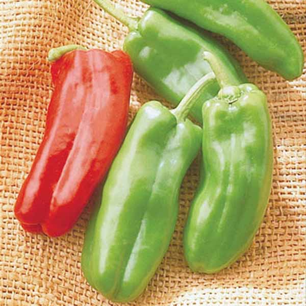 Pepper Giant Marconi F1 Seed Seeds