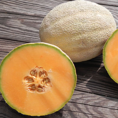 Melon Cleopatra F1 Seed Seeds