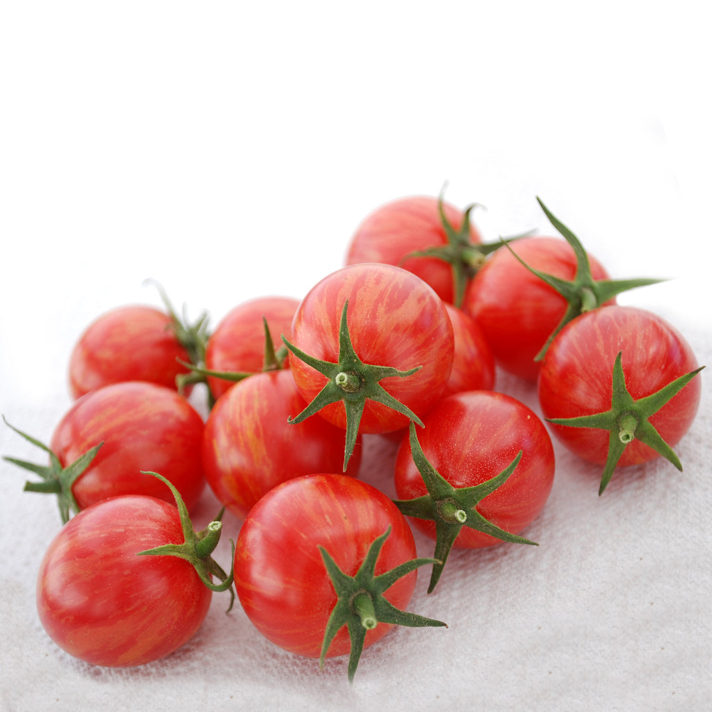 Tomato Artisan&trade; Pink Bumblebee Organic Seed Seeds