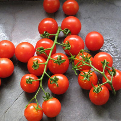 Tomato Mountain Magic F1 Seeds