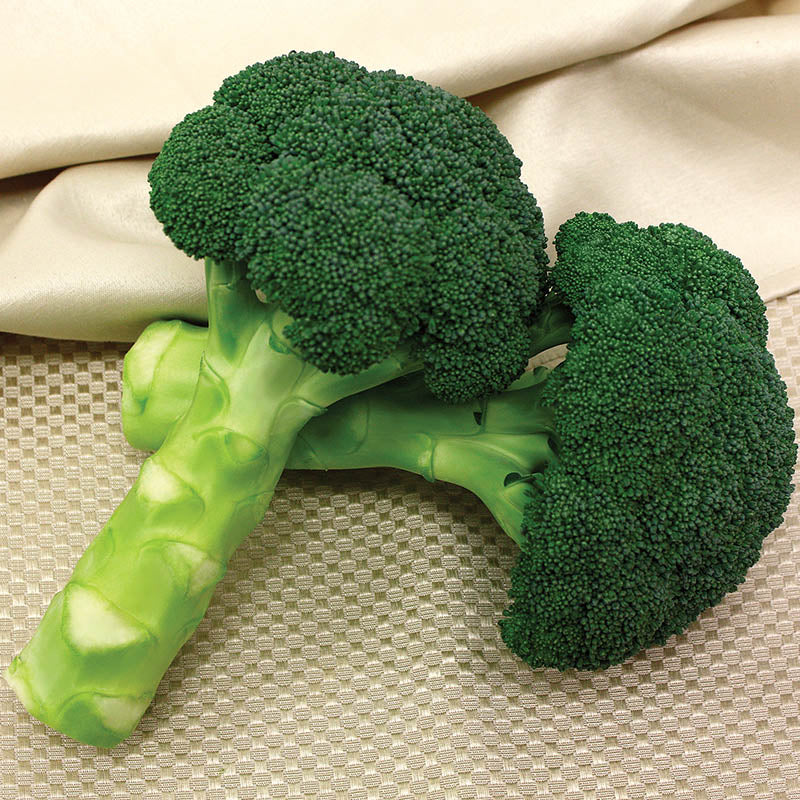 Broccoli Green Magic F1 Seed Seeds