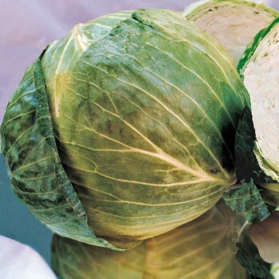 Cabbage Deuce F1 Seed Seeds