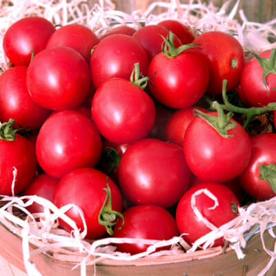 Tomato Sweet Treats F1 Seed Seeds