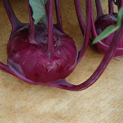 Kohlrabi Azur Star Seed Seeds