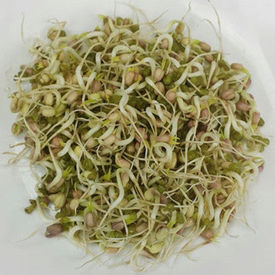 Mung Bean Sprouts Seeds Seeds