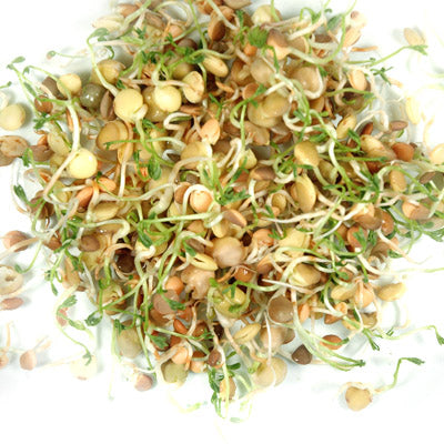 Crispy Mix Sprouts Organic Seeds Seeds