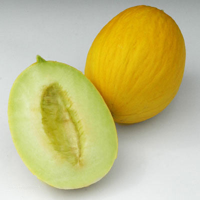 Melon Durasol F1 Seed Seeds