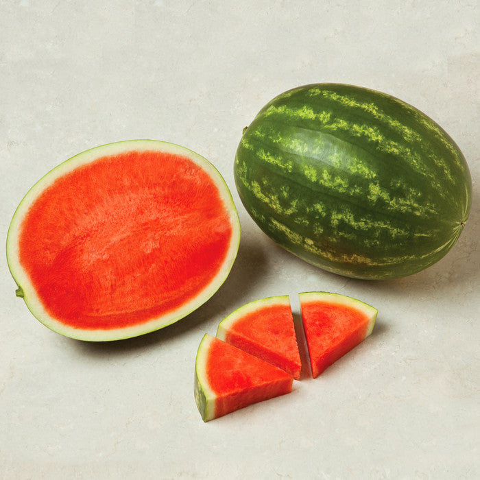 Watermelon Fascination F1 Seed Seeds