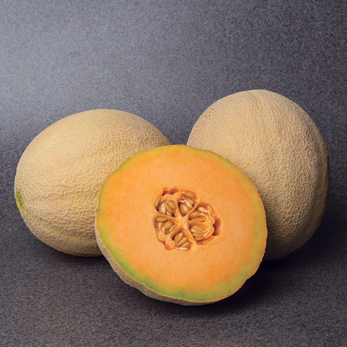 Melon Accolade F1 Seed Seeds