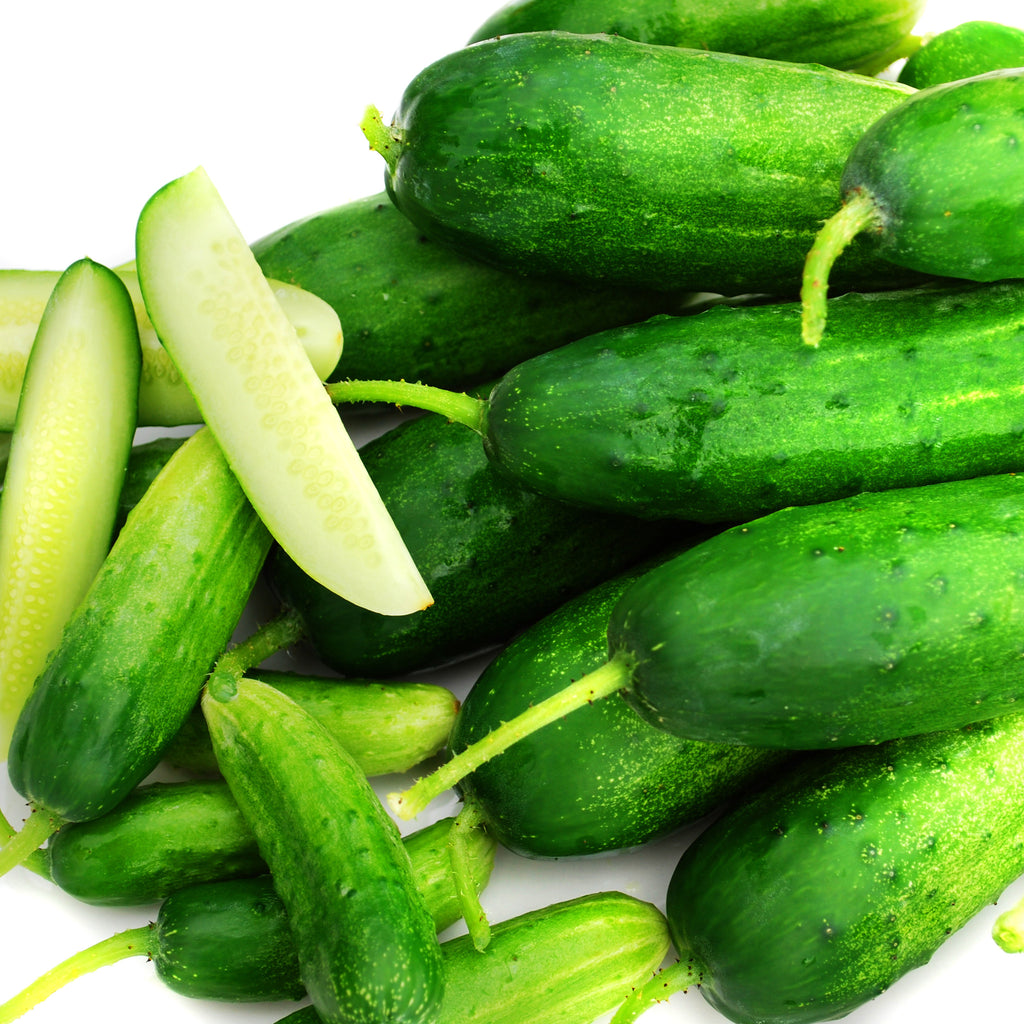 Cucumber Double Yield Organic Seed Seeds