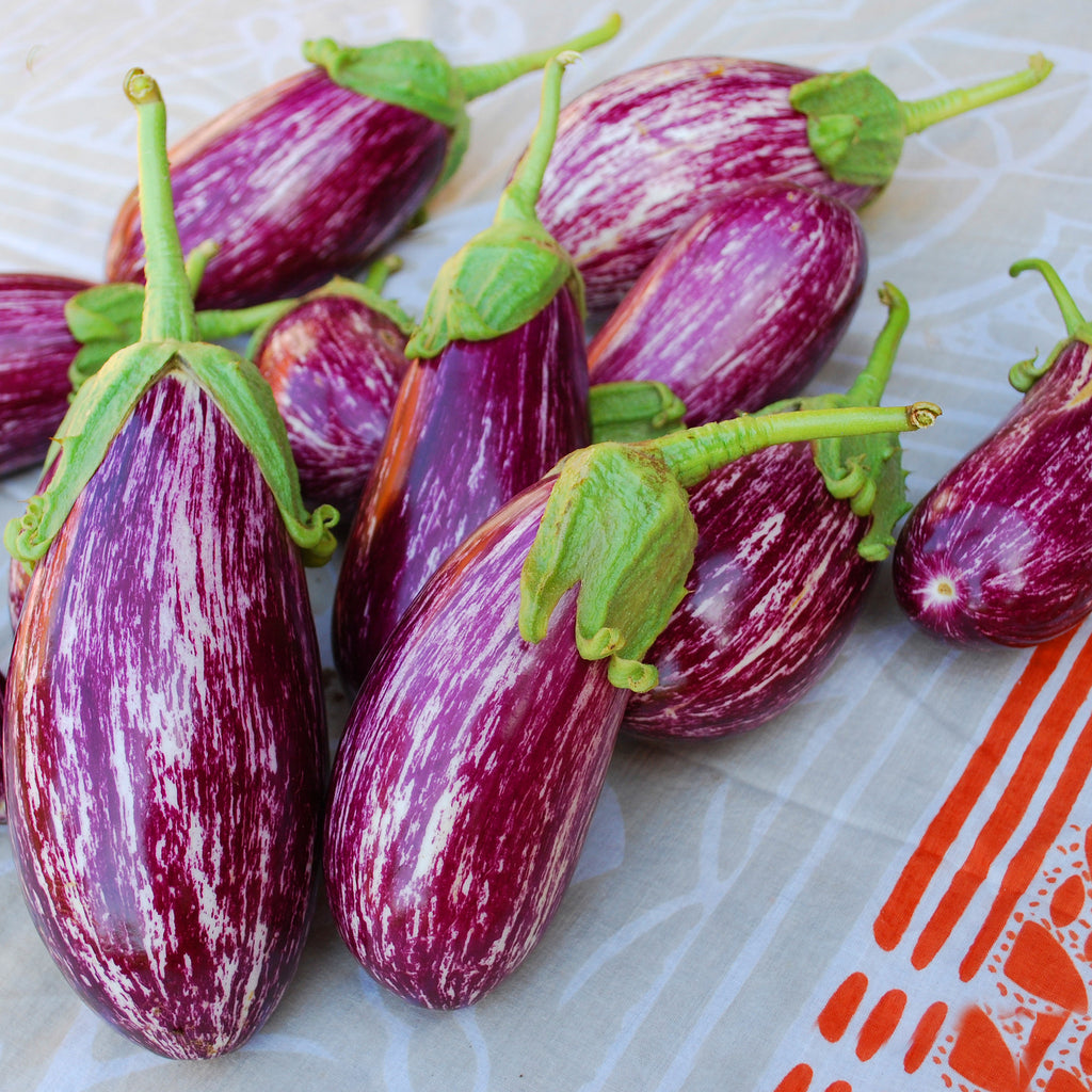 Eggplant Listada De Gandia Seeds