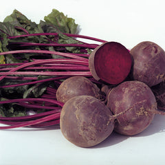 Beet Boro F1 Seed