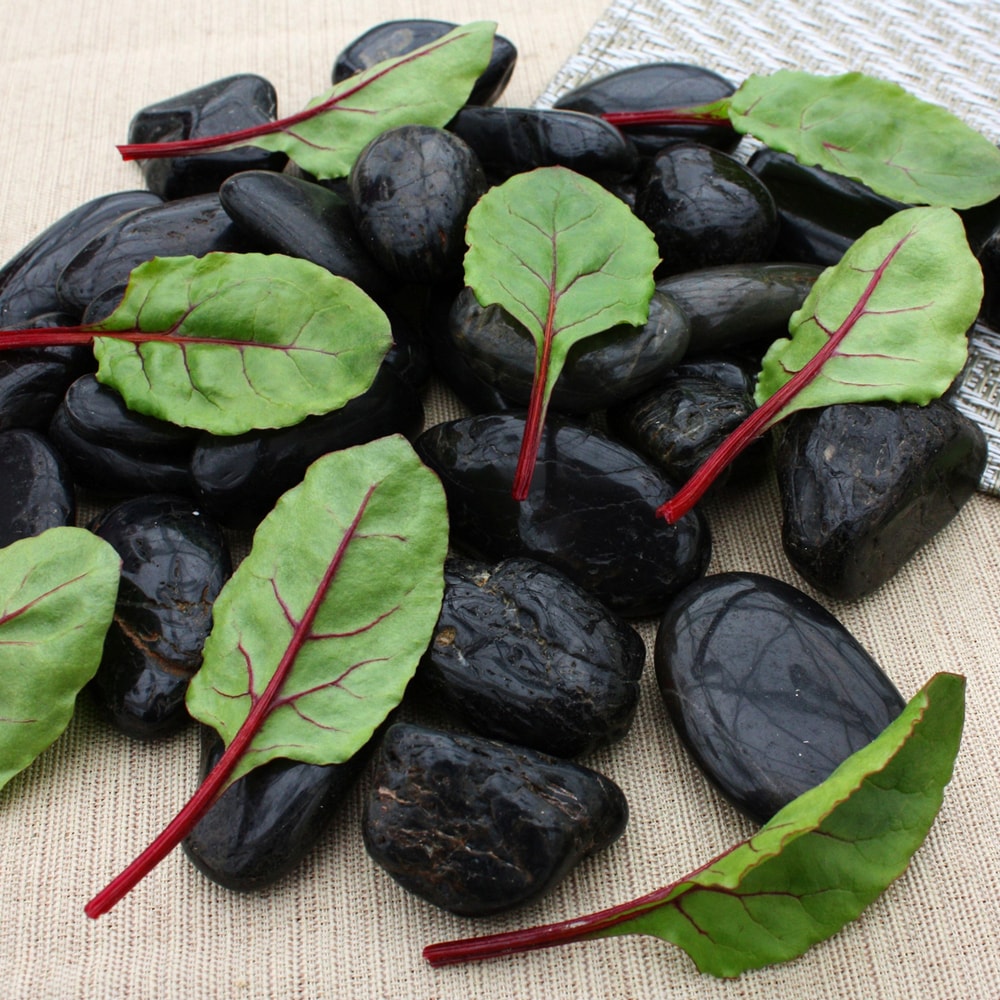 Beet Greens Fresh Pak Seed Seeds