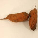 Sweet Potato Centennial