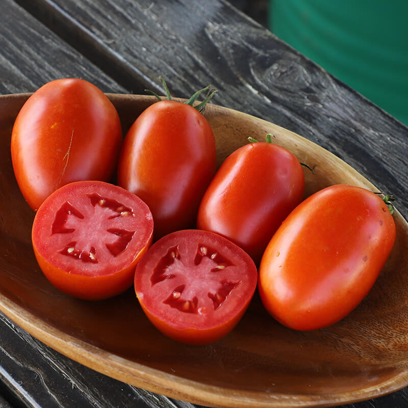 Tomato Davinci F1 Seed Seeds