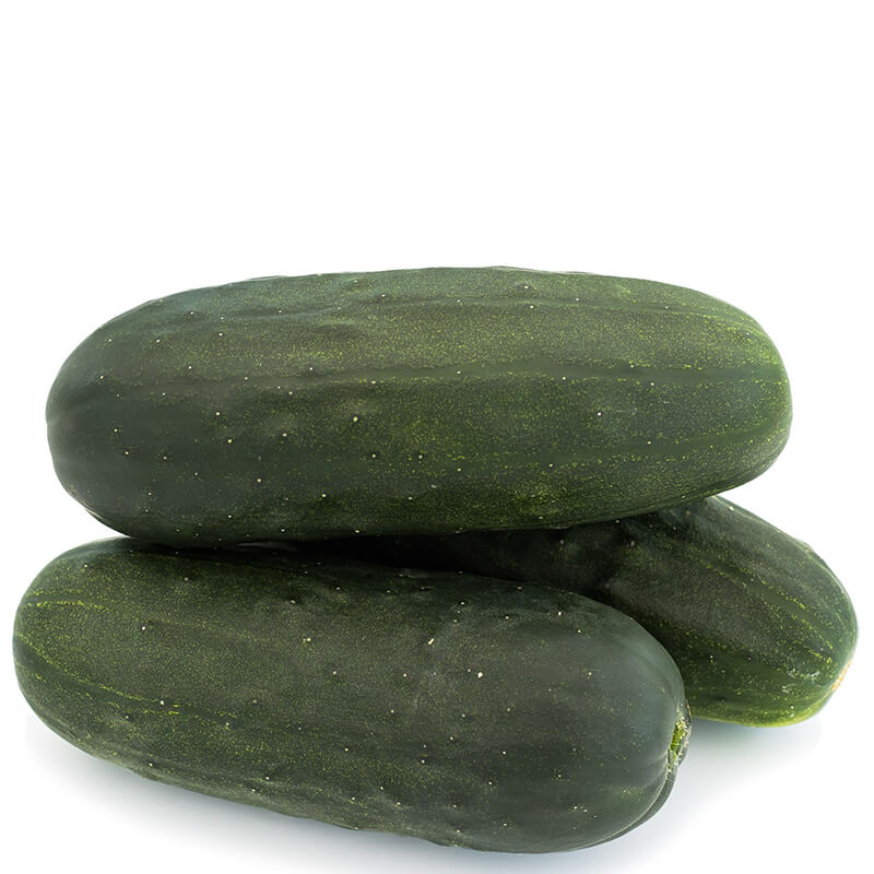 Cucumber Espirit F1 Seed Seeds