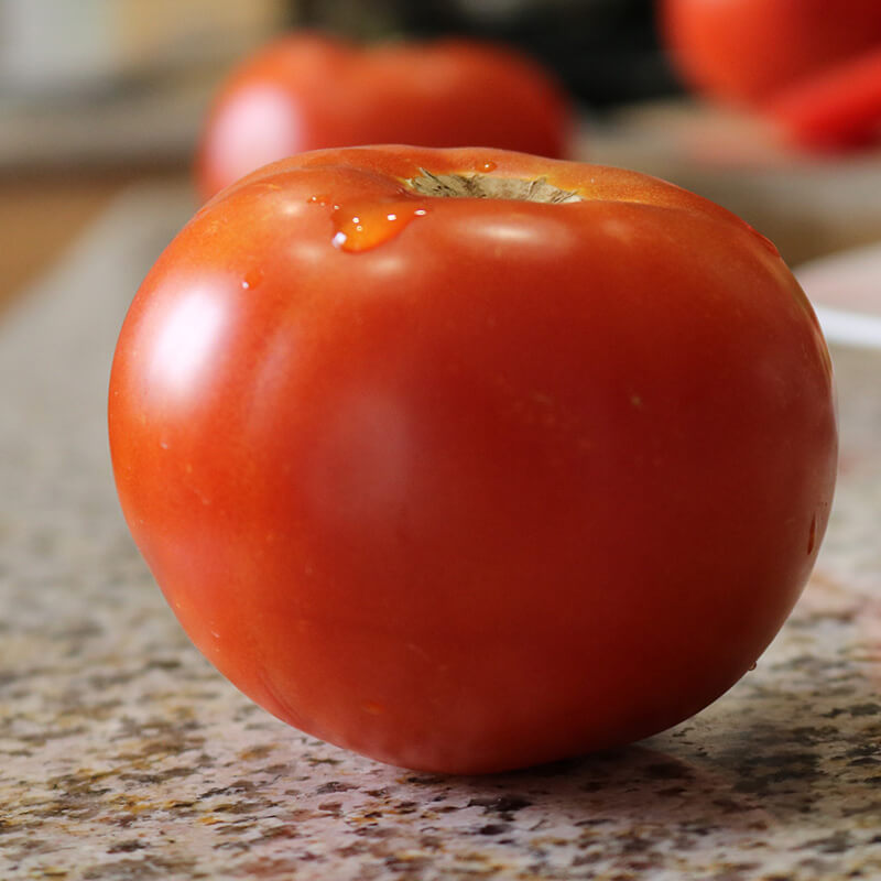 Tomato Celebrity Plus F1 Seed Seeds