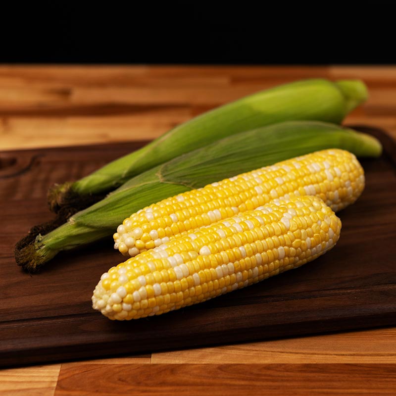 Sweet Corn Biotech Revision F1 Seed Seeds