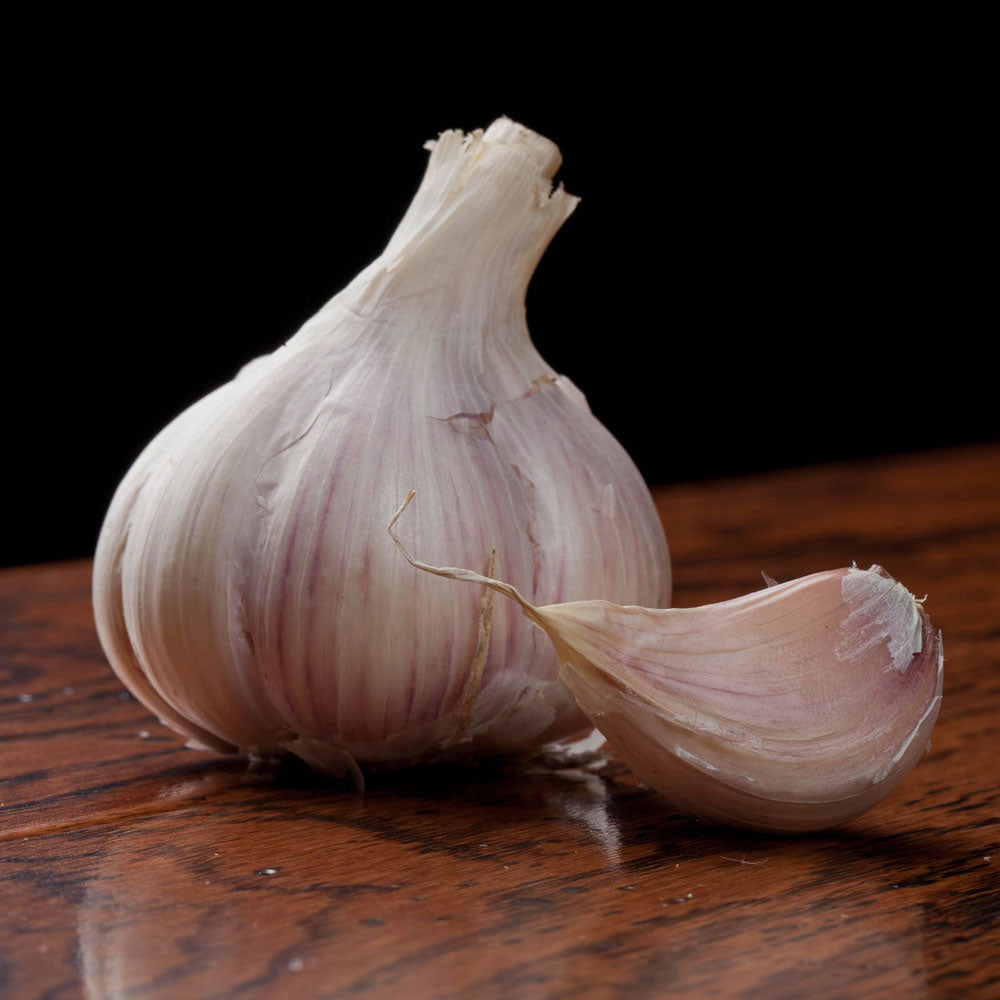 Garlic Music Hardneck