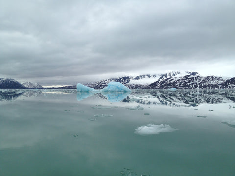 arctic gift tubes for water and wine bottles