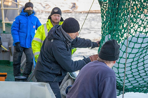 Inspecting iceberg in the field for Svalbarði to ensure it meets proper iceberg water taste characteristics and quality standards