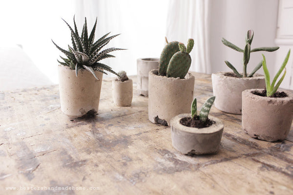 Concrete Planters Hester's Handmade Home