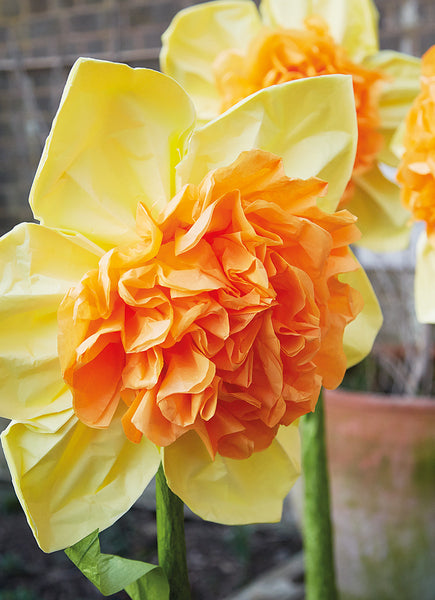 Tissue Paper Daffodil