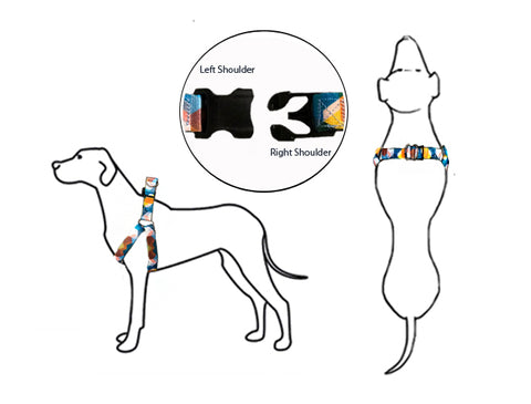 How to put on your pet's harness infographic