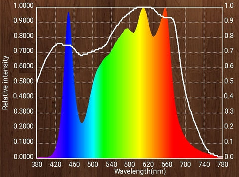 LED Spectrum