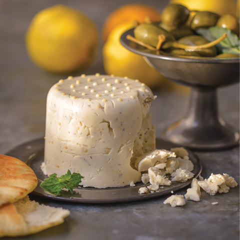 Claudia Lucero author of One Hour Dairy Free Cheese book vegan paleo nut-free cheesemaking feta