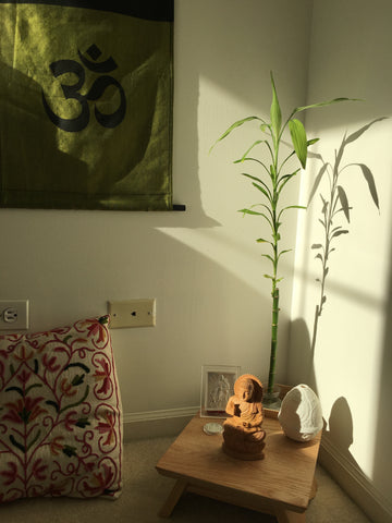 meditation-corner-in-sunlight-with-bamboo