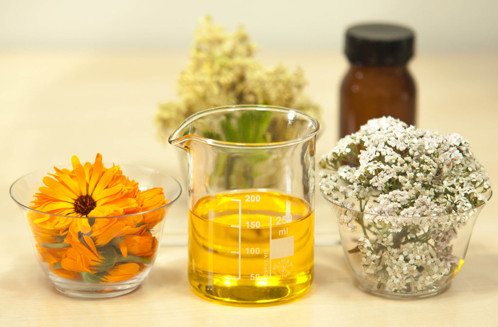 olive-oil-ingredients-flowers-oil-infusions