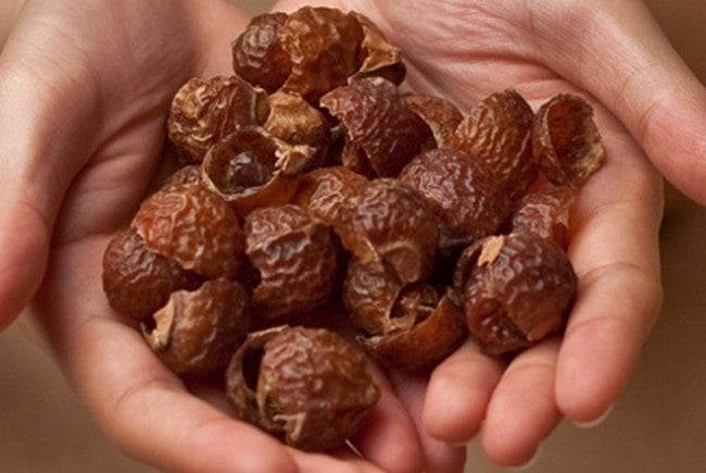 soap-nuts-eco-friendly-organic-natural-laundry