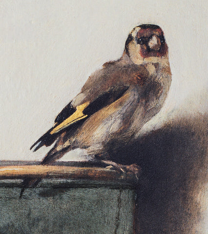 The Goldfinch perching