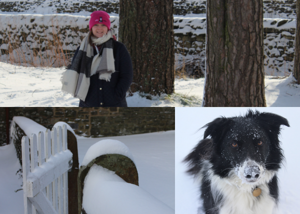 Ollie Collie Beanie Hat Snow Day 