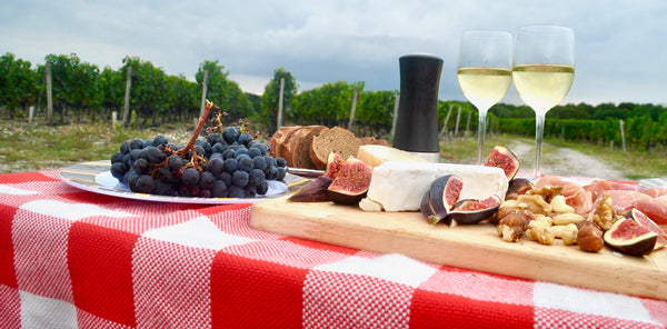 Picknick mit Wein, Weichkäse und guten Schinken in den Weingebieten um Bordeaux