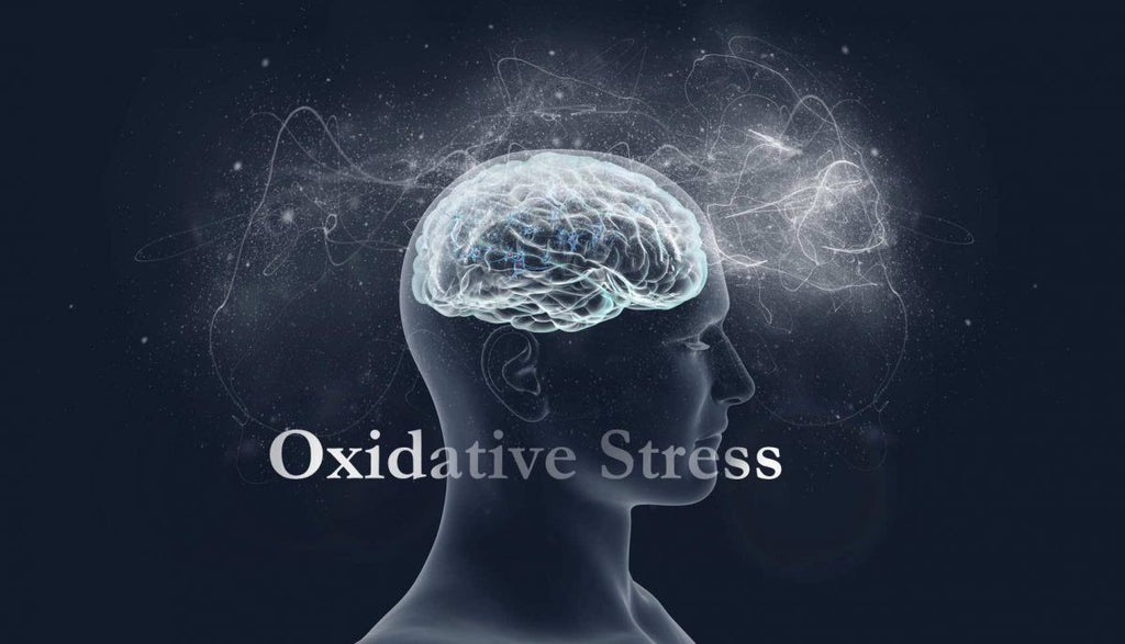 Cellular Aging & Oxidative Stress