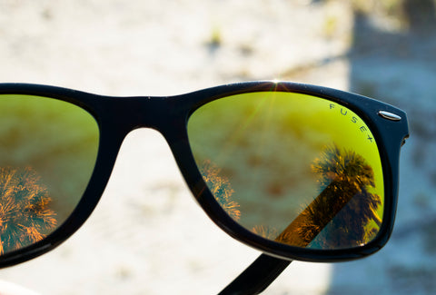 Muted yellow lenses, Fusion, in a classic black frame with reflection of palm trees in the lenses