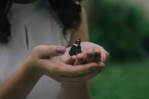 Woman's hands holding butterfly during dusk