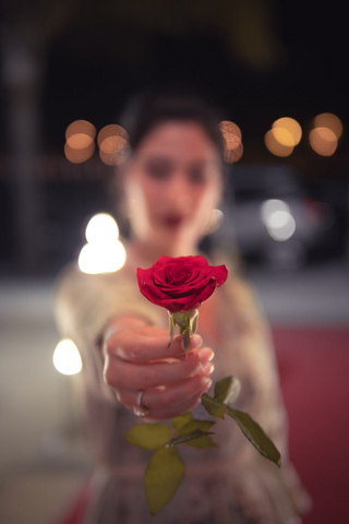 Girl holding a rose