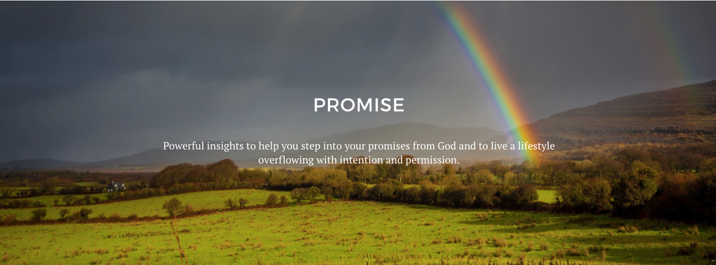 Promise