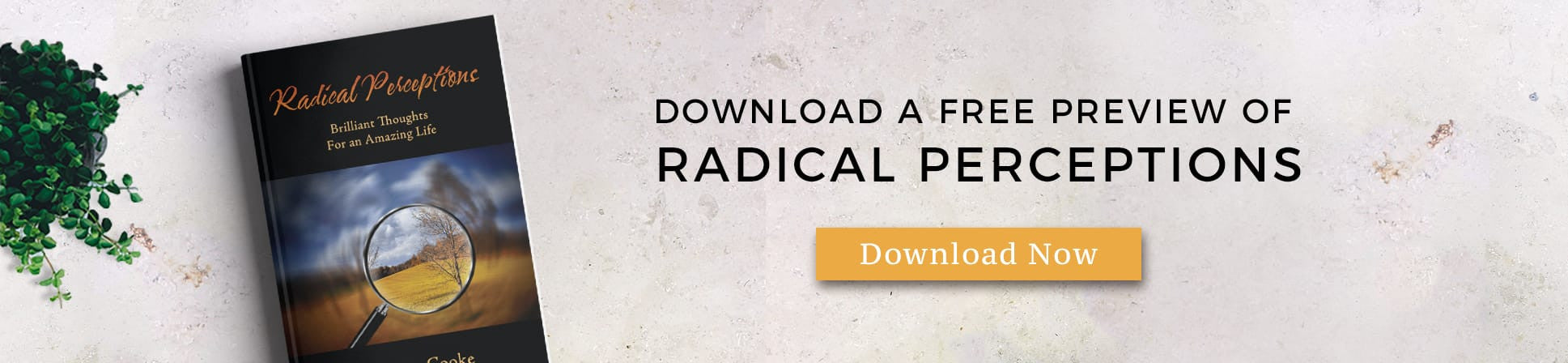 Radical Perceptions FREE preview