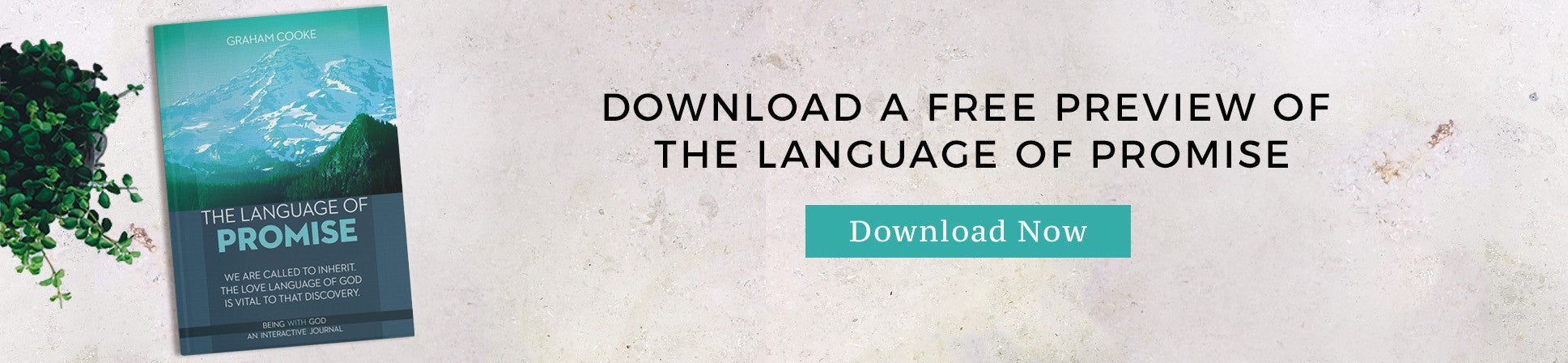The Language of Promise FREE preview
