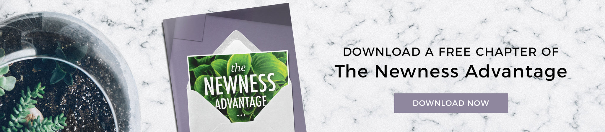 The Newness Advantage Preview