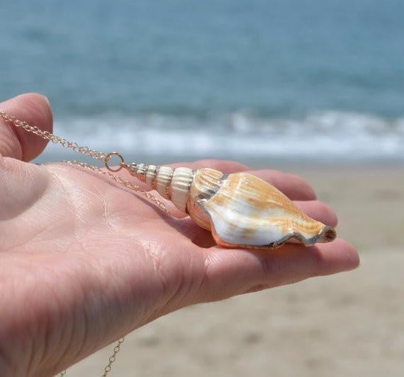 Shell Necklace