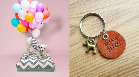 10 Gift Ideas for Your Furbabies This Christmas