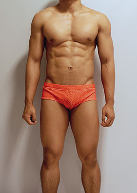 lifeguard swim briefs