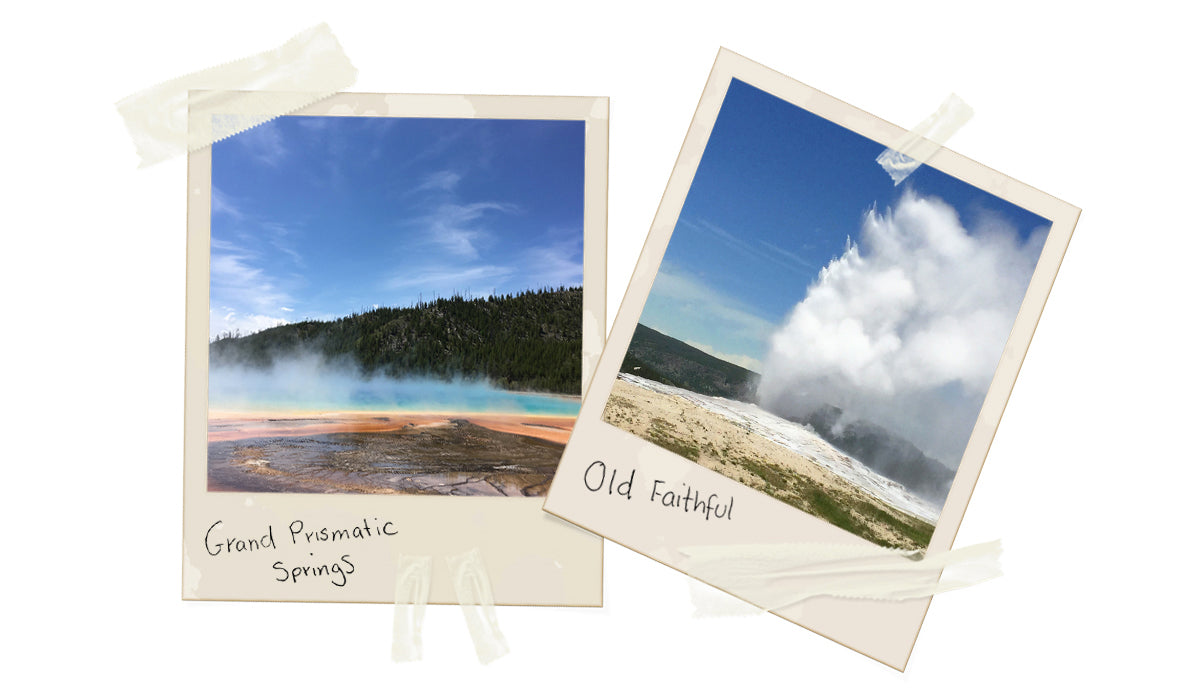 polaroids of tourist locations