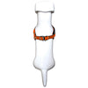 BGSU Dog harness