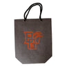 BGSU Glitter Gift Bag